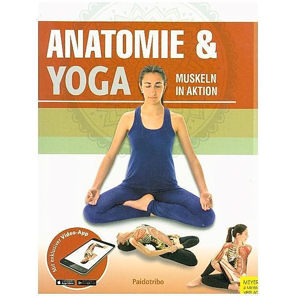 Anatomie & Yoga, m. 1 Buch, m. 1 Beilage