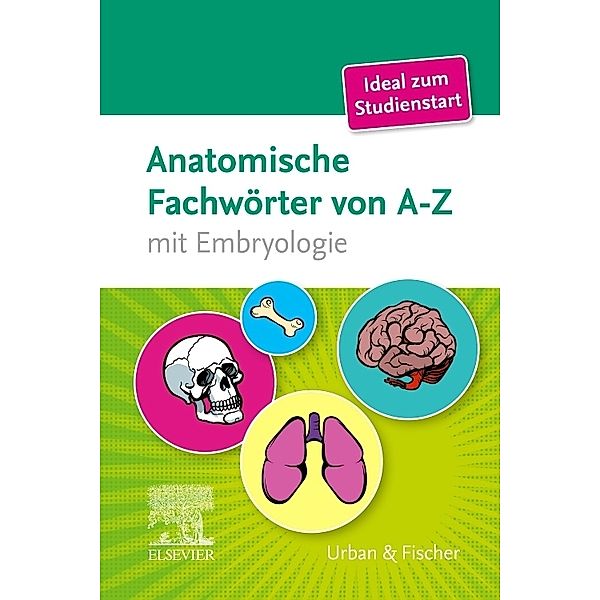 Anatomische Fachwörter von A-Z