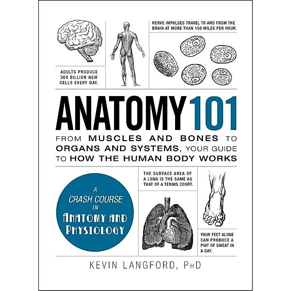 Anatomy 101, Kevin Langford