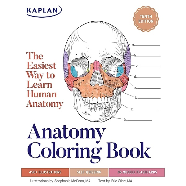 Anatomy Coloring Book with 450+ Realistic Medical Illustrations with Quizzes for Each, Stephanie McCann, Eric Wise