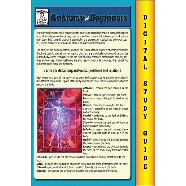 Anatomy For Beginners (Blokehead Easy Study Guide) / The Blokehead Success Series, Scott Green