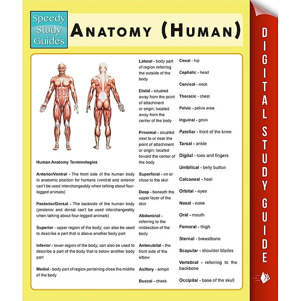 Anatomy (Human) (Speedy Study Guides) / Dot EDU, Speedy Publishing