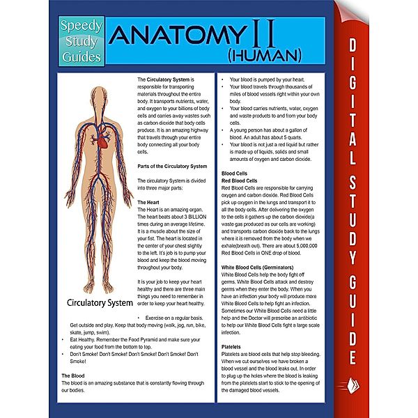 Anatomy II (Human) (Speedy Study Guides) / Dot EDU, Speedy Publishing