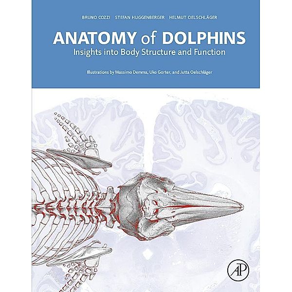 Anatomy of Dolphins, Bruno Cozzi, Stefan Huggenberger, Helmut A Oelschläger
