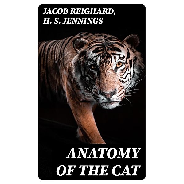 Anatomy of the Cat, Jacob Reighard, H. S. Jennings