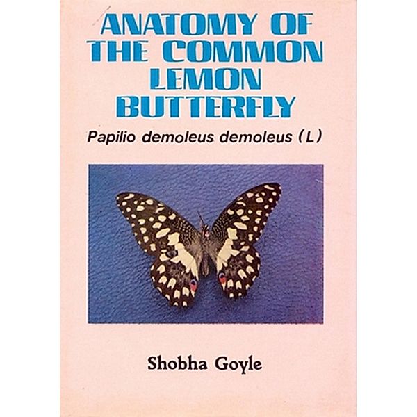 Anatomy of The Common Lemon Butterfly Pupillo Demoleus Demoleus (L), Shobhagoyle