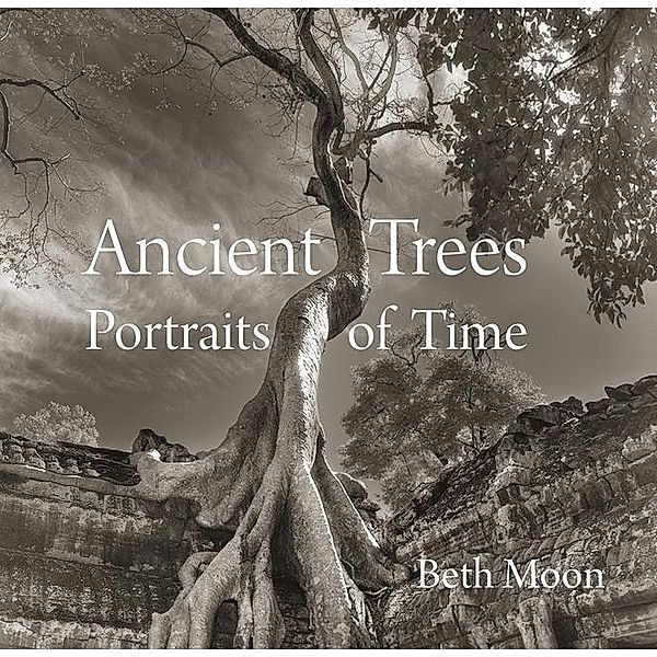 Ancient Trees: Portraits of Time, Beth Moon