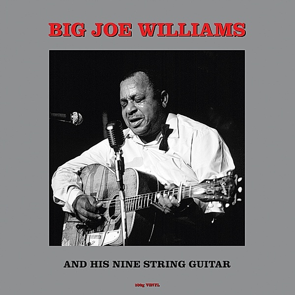 And His Nine String Guitar (Vinyl), Big Joe Williams