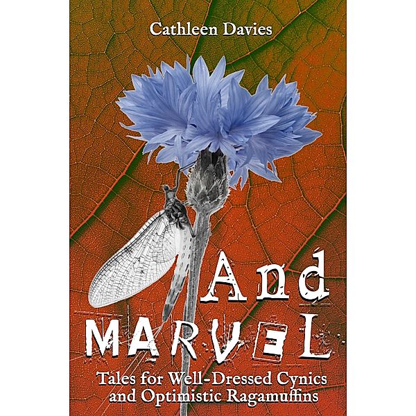 And Marvel (Tales for Well-Dressed Cynics and Optimistic Ragamuffins, #2) / Tales for Well-Dressed Cynics and Optimistic Ragamuffins, Cathleen Davies