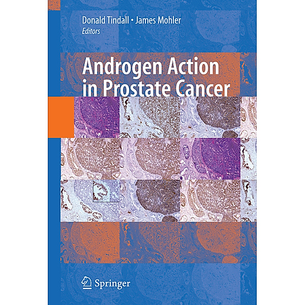 Androgen Action in Prostate Cancer