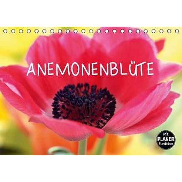 Anemonenblüte (Tischkalender 2016 DIN A5 quer), Gisela Kruse