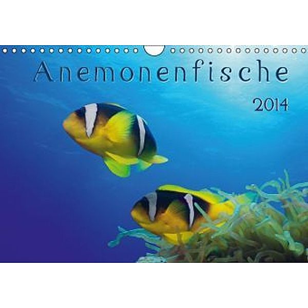 Anemonenfische / AT-Version (Wandkalender 2014 DIN A4 quer), Henry Jager