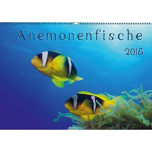 Anemonenfische / AT-Version (Wandkalender 2015 DIN A2 quer), Henry Jager
