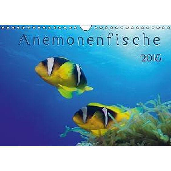 Anemonenfische / AT-Version (Wandkalender 2015 DIN A4 quer), Henry Jager
