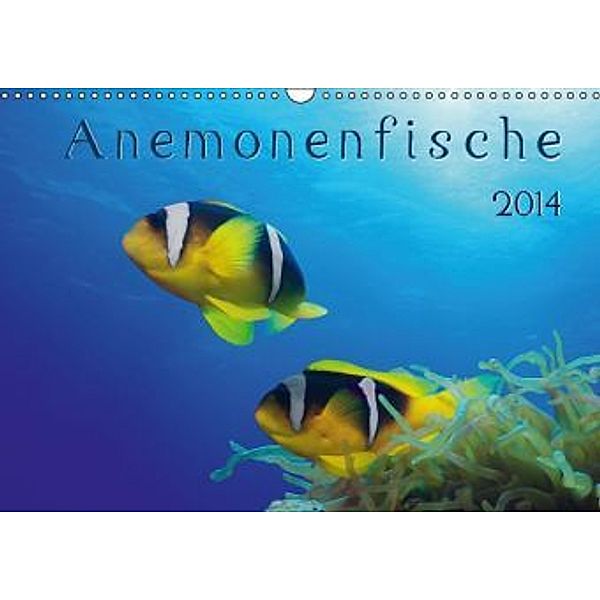 Anemonenfische / CH-Version (Wandkalender 2014 DIN A3 quer), Henry Jager