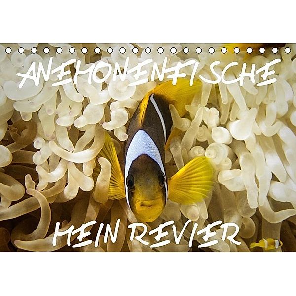 Anemonenfische, Mein Revier. (Tischkalender 2017 DIN A5 quer), Daniel Hohlfeld, D. Hohlfeld Fotoatlier Berlin