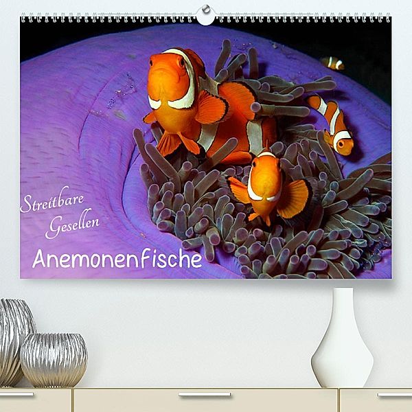 Anemonenfische - Streitbare Gesellen (Premium, hochwertiger DIN A2 Wandkalender 2023, Kunstdruck in Hochglanz), Ute Niemann