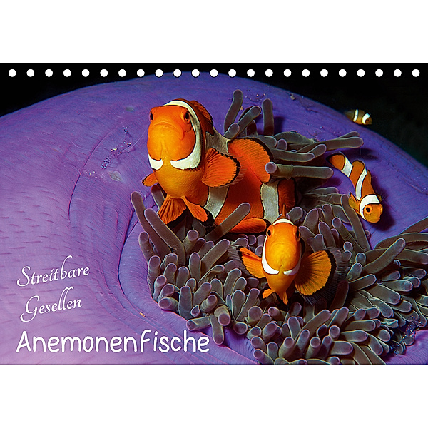 Anemonenfische - Streitbare Gesellen (Tischkalender 2020 DIN A5 quer), Ute Niemann