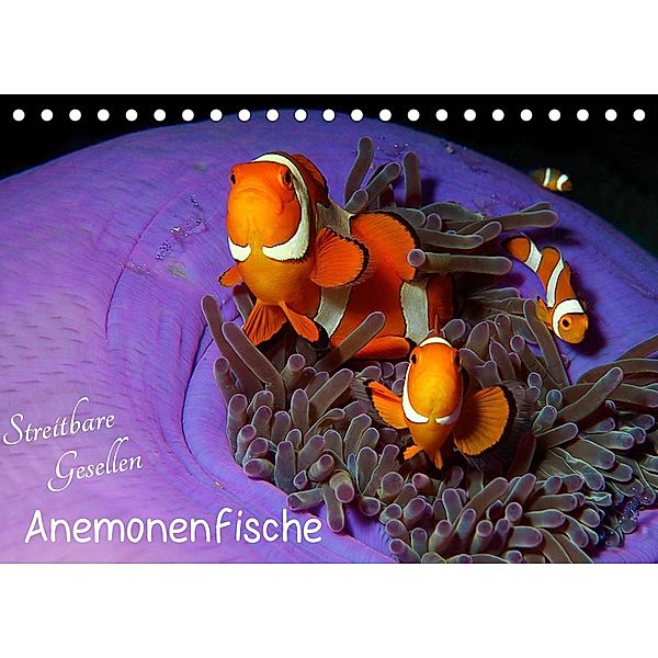Anemonenfische - Streitbare Gesellen (Tischkalender 2023 DIN A5 quer), Ute Niemann