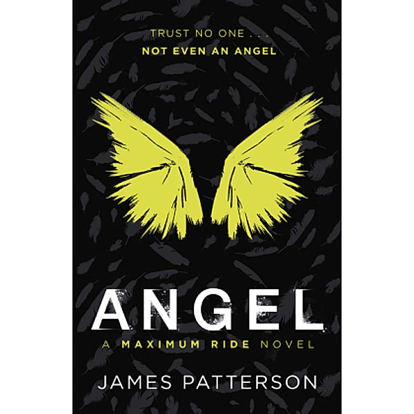 Angel: A Maximum Ride Novel, James Patterson