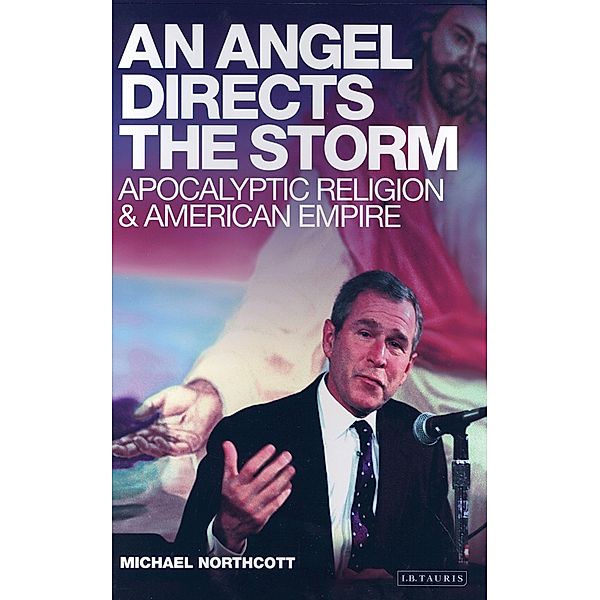 Angel Directs the Storm, Michael S. Northcott