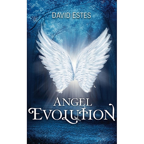 Angel Evolution / David Estes, David Estes