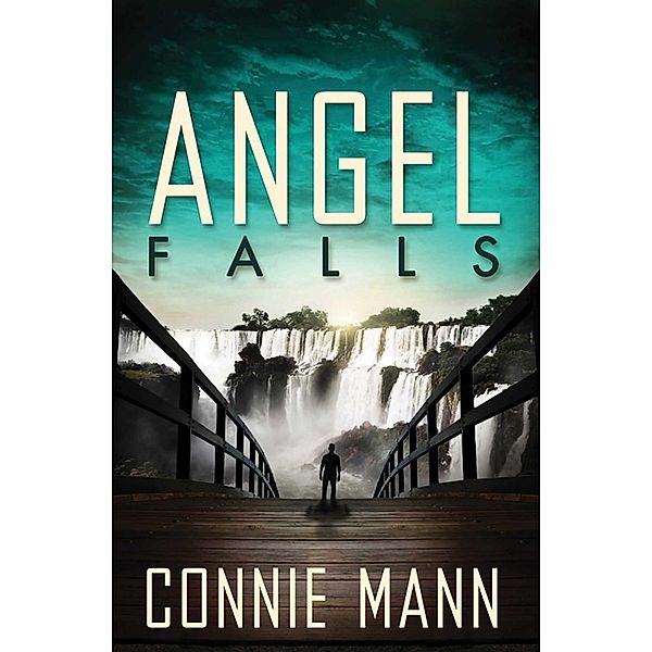 Angel Falls / Abingdon Fiction, Connie Mann