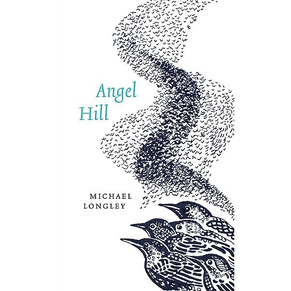 Angel Hill, Michael Longley