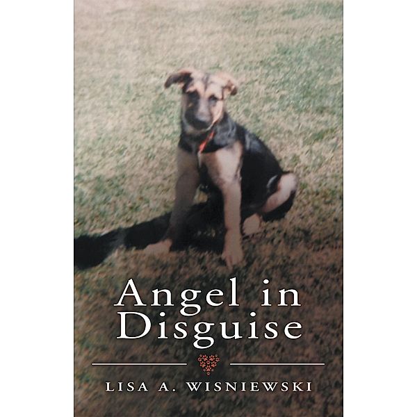 Angel in Disguise, Lisa A. Wisniewski