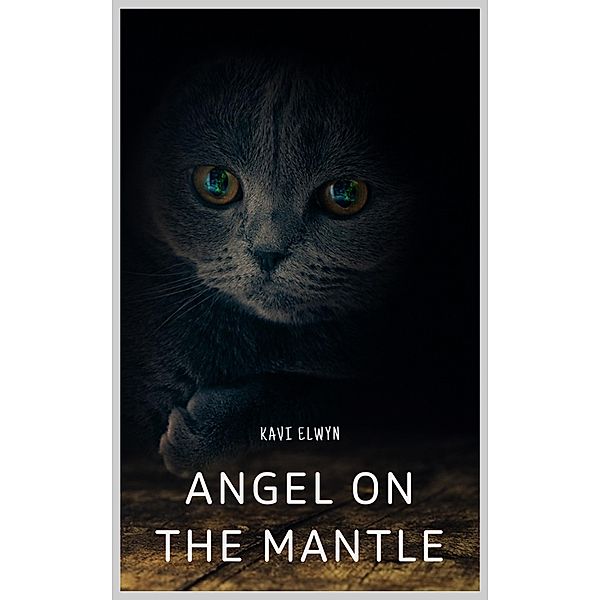 Angel on the Mantle, Kavi Elwyn