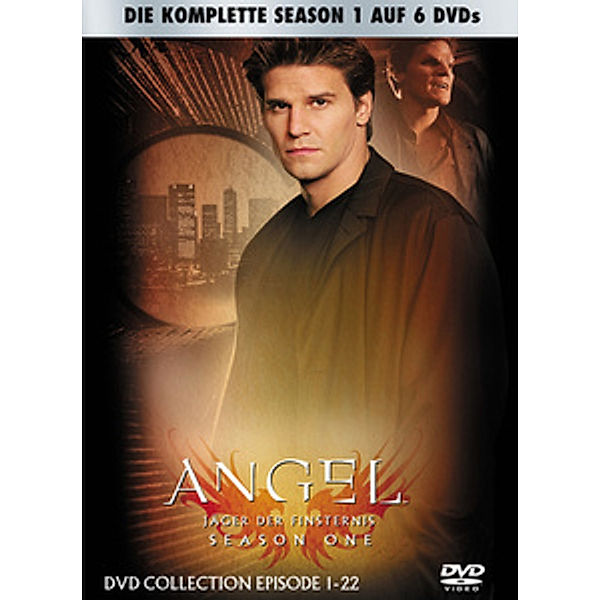Angel - Season 1, Diverse Interpreten