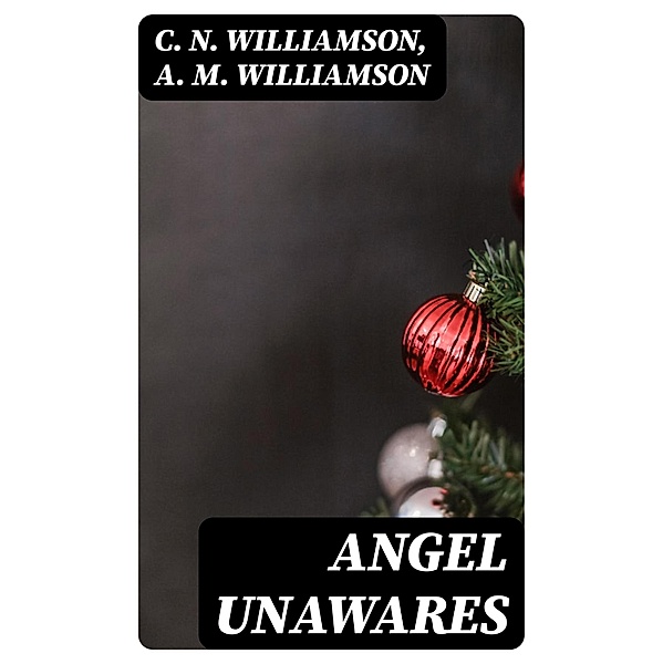 Angel Unawares, C. N. Williamson, A. M. Williamson