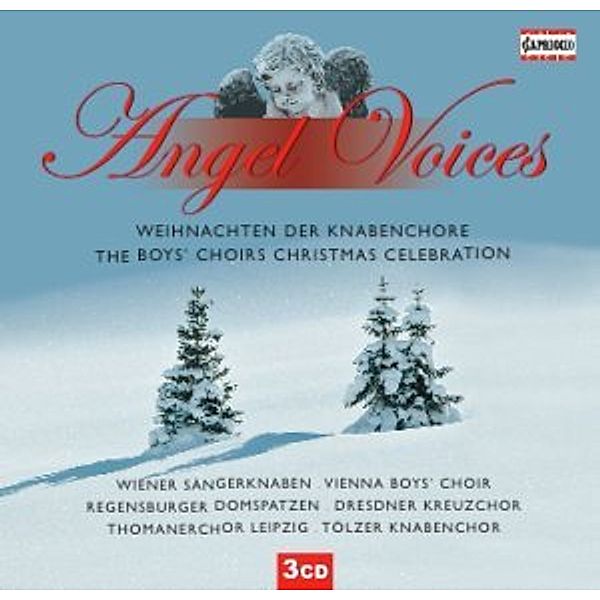 Angel Voices, Diverse Interpreten