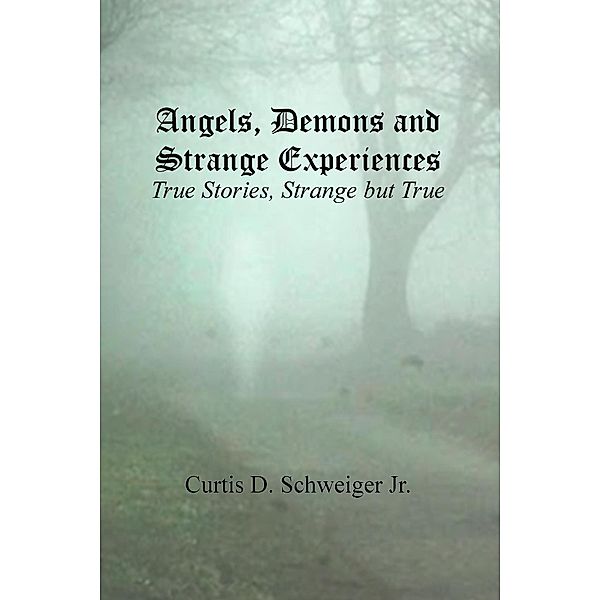 Angels, Demons, and Strange Experiences (1 of 2, #1) / 1 of 2, Curtis Schweiger