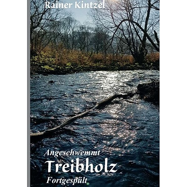 Angeschwemmt - Treibholz, Rainer Kintzel