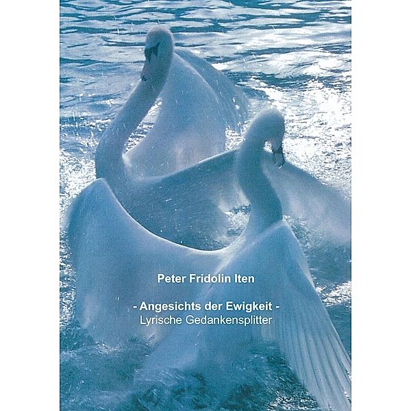 Angesichts der Ewigkeit -, Peter Fridolin Iten