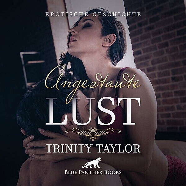 Angestaute Lust,Audio-CD, Trinity Taylor