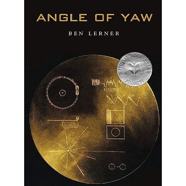 Angle of Yaw, Ben Lerner