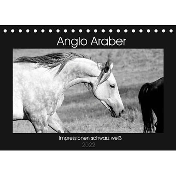 Anglo Araber Impressionen schwarz weiß (Tischkalender 2022 DIN A5 quer), Meike Bölts