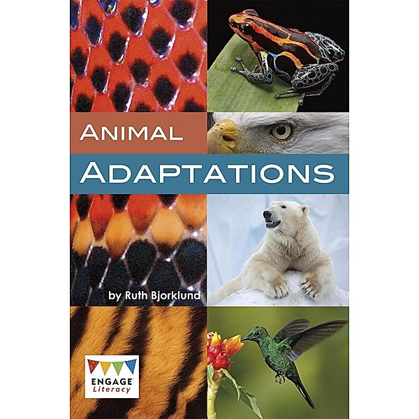 Animal Adaptations / Raintree Publishers, Ruth Bjorklund