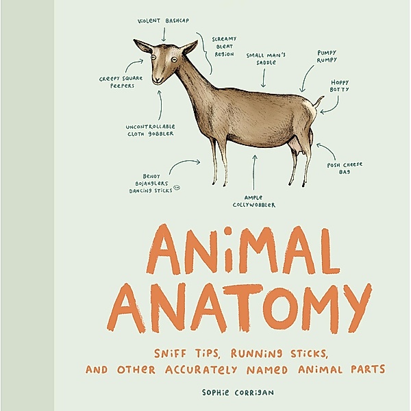Animal Anatomy, Sophie Corrigan