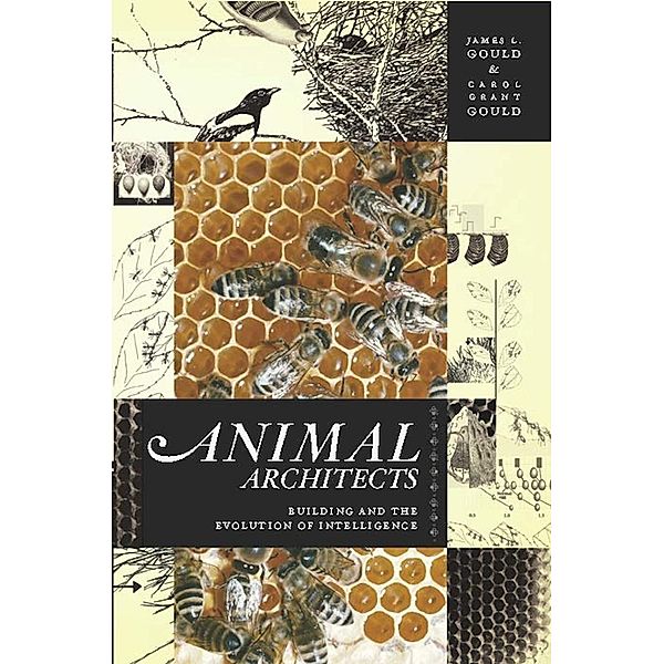 Animal Architects, James L Gould, Carol Grant Gould