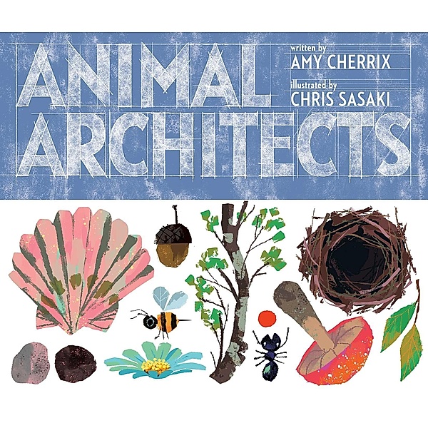 Animal Architects, Amy Cherrix