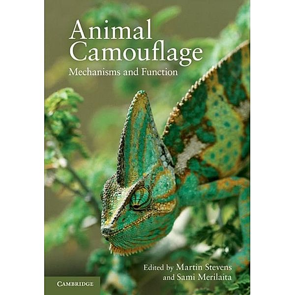 Animal Camouflage