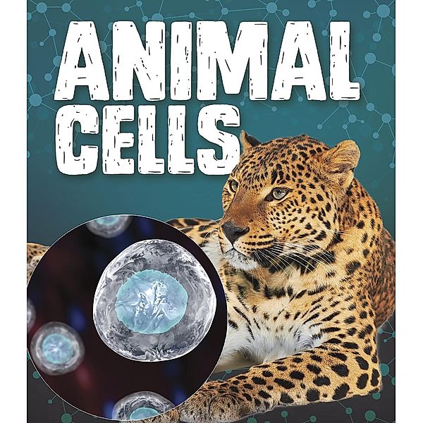 Animal Cells, Mason Anders