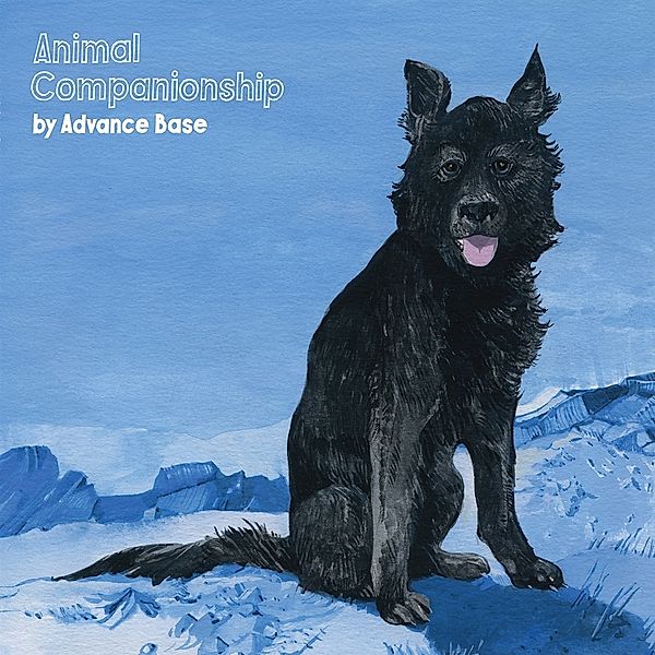 ANIMAL COMPANIONSHIP (Clear Vinyl), Advance Base