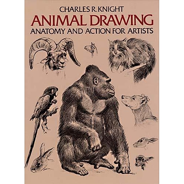 Animal Drawing / Dover Anatomy for Artists, Charles Knight