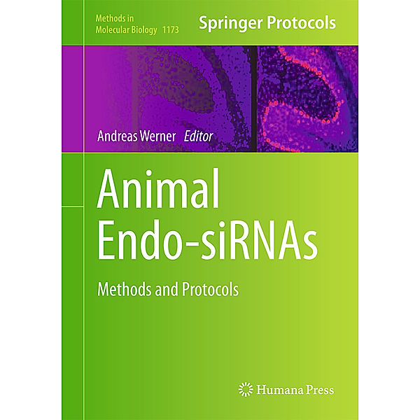 Animal Endo-SiRNAs