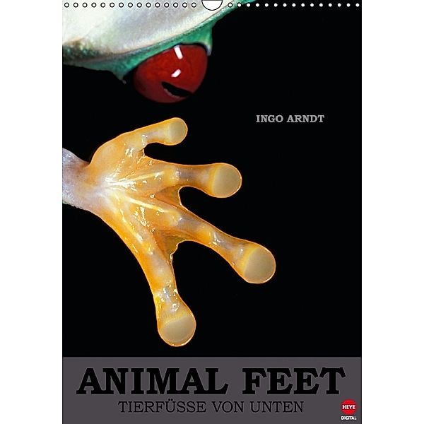 Animal Feet - Tierfüße von unten (Wandkalender 2014 DIN A3 hoch), Ingo Arndt