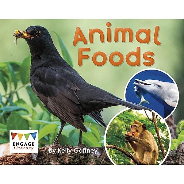 Animal Foods / Raintree Publishers, Kelly Gaffney